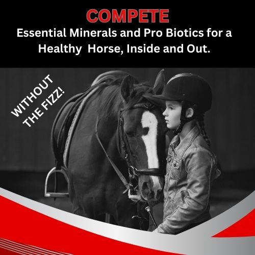 COMPETE - The Super Supplement For Competition Horses