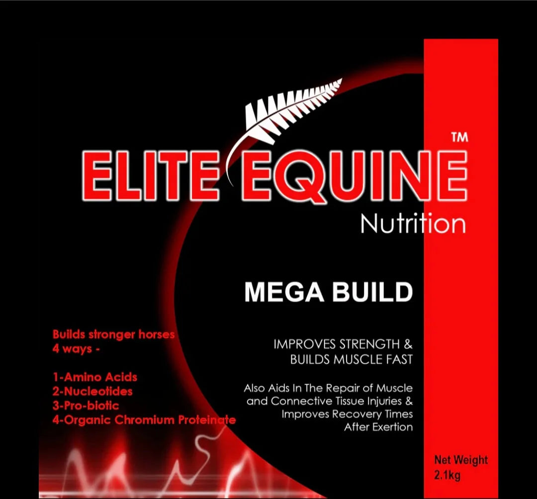 Mega Muscle MEGA BUILD - 2.1kg The Muscle Builder – Elite Equine Nutrition Australia