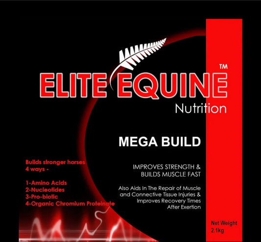 MEGA BUILD - 2.1kg The Muscle Builder